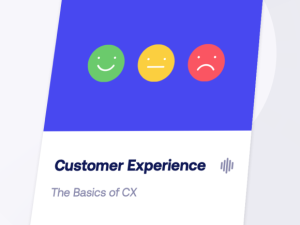 Digital Marketing Courses in Zimbabwe- Digital Marketing Institute - Customer Experience short course